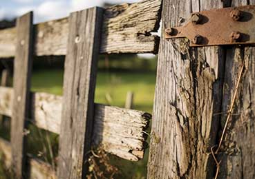 Fence and Gate Repairs